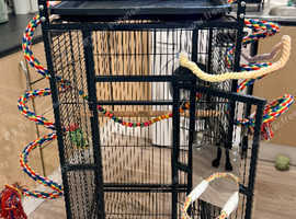 Bird cage