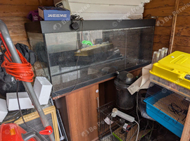 Joblot fish tanks