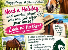 Rebecca's Complete Horse Care Services