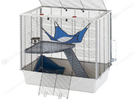 Rat cage and everything you need to start