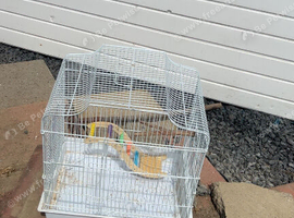 Medium white birdcage