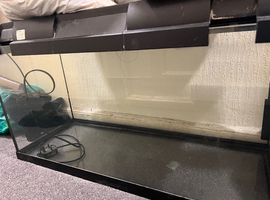 Fishing tank