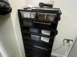 Snake rack for sale