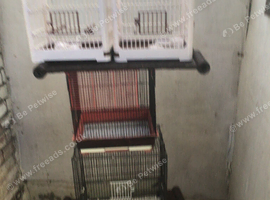 4small cages