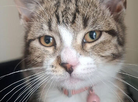 Female born January