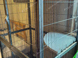 Ferret/chinchilla cage