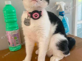 Small female age 3