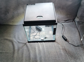 15 litre fish tank