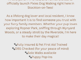 Dog walker