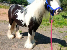 Beautiful kids best friend