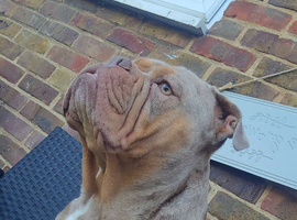 Female looking for home