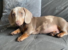 I have 16 weeks old boy