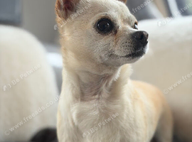 Beautiful little lady