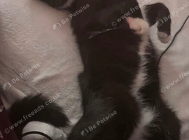 Colin and Clive