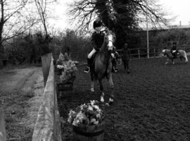 WANTED  SUPER SAFE SENSIBLE LOW LEVEL ALLROUNDER!!!