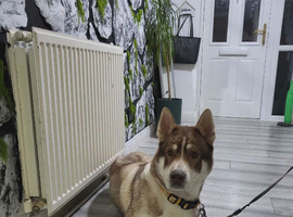 Name- Max