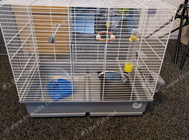 Cage for birds