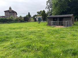 Grazing for horses/ponies
