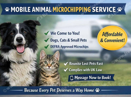 Animal Microchipping