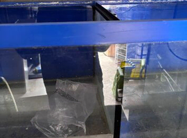Fish tank