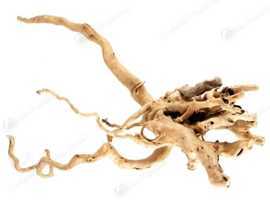 Azalea Root / Spider Wood 15-20cm Natural Decor Fresh Water Aquarium Fish Tank
