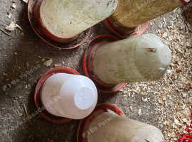 poultry feeders
