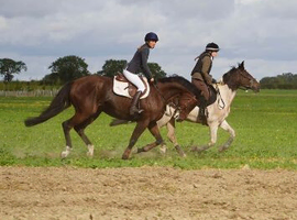 Zuce mother daughter share type
