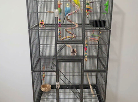 Brand new large Bird cage