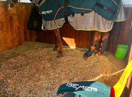BEMER Horse Blanket  (PEMF)&ndash; Excellent Condition