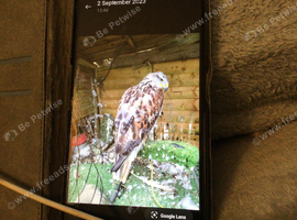 Locking for private land to fly bids of prey on