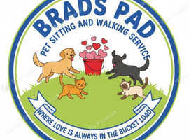 Brad's Pad Pet Sitting and Walking Service