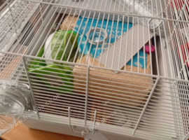 Hamster cage