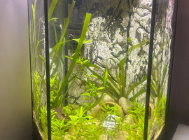 Aquarium 60l