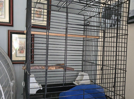 Bird cage