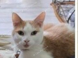 Gorgeous boy