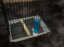 Bird cage with food
