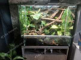 Paludarium for sale