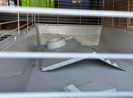Rabbit cage