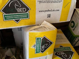 Probed and Burly bedding for sale