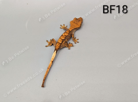 Red Harlequin Crested Gecko CB26