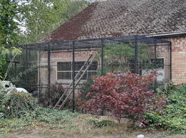 LARGE GALVANISED CATIO/KENNEL/AVIARY 6M X 2.4M X 2.4M POWDER COATED BLACK WITH LOCABLE DOOR