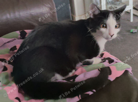 Spock.