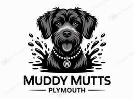 Puppy raising specialist