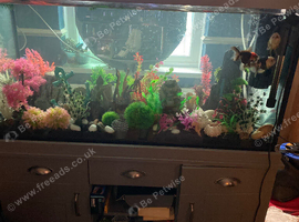 Fluval shaker fish tank 252 ltr