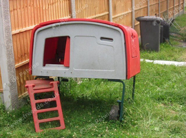 for sale is our omlet chicken coup