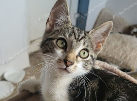 Olivia