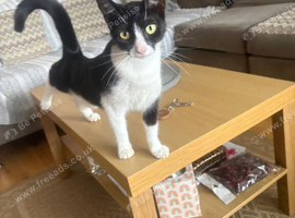 female 1 yr old