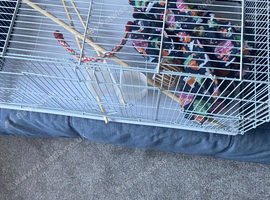 Lovely flight cage