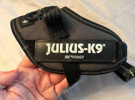 Julius K9 dog harness