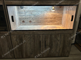 2x 4x2x2 vivarium and cabinet